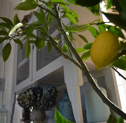 Timellen - Piscine Privative Chauffee- 300m Parcours De Golf Cassy Σπίτι διακοπών *